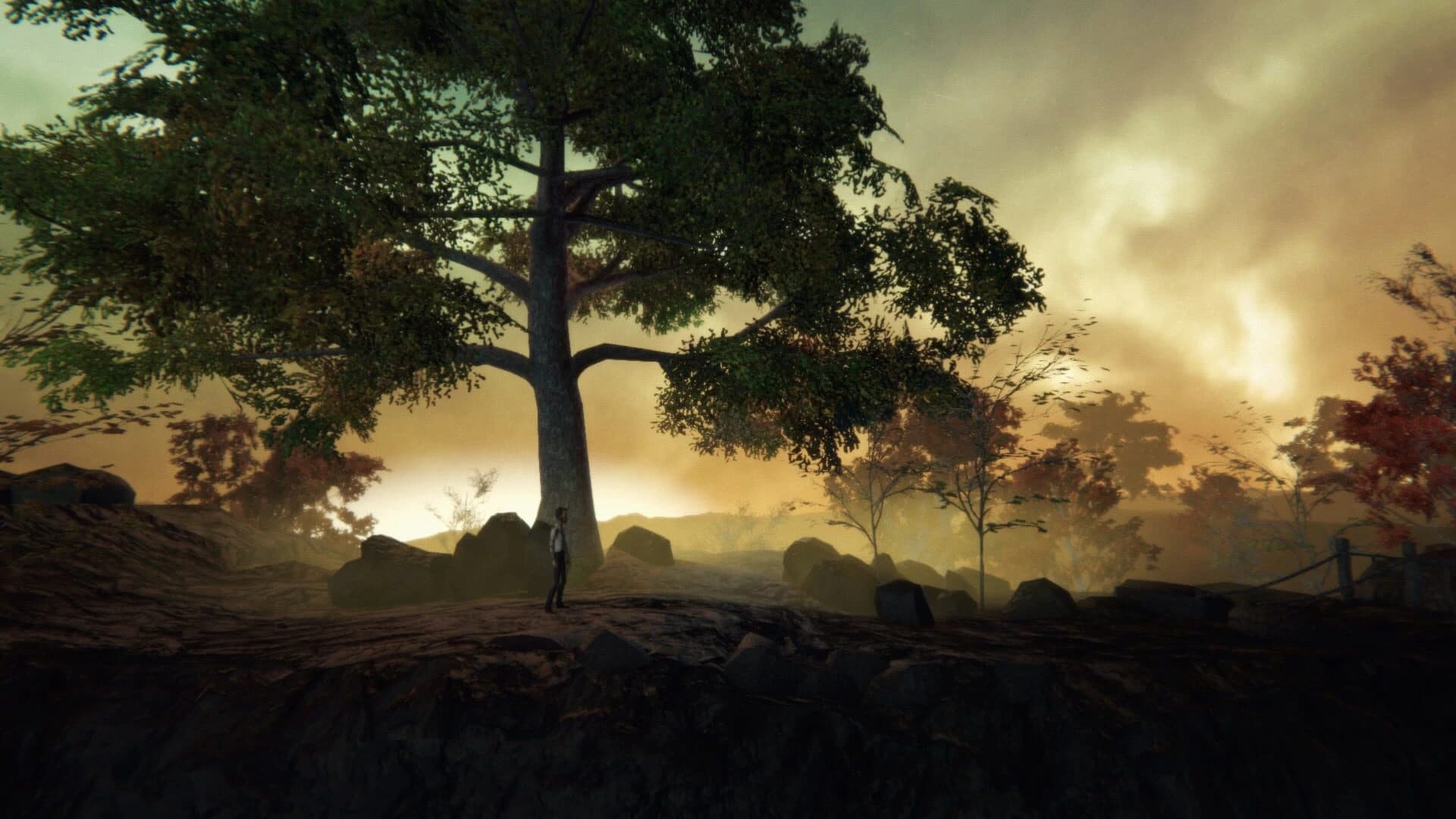 Adele: Following the Signs screenshot 3