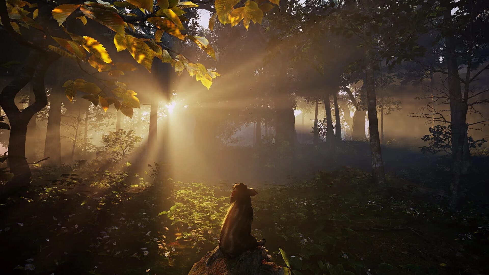 Adorable Adventures screenshot 7