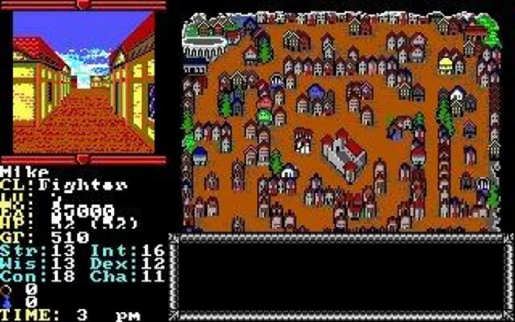 Advanced Dungeons & Dragons: Hillsfar screenshot 1