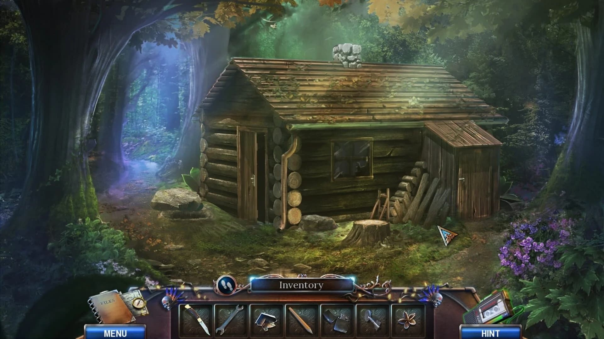 Alicia Griffith: Lakeside Murder screenshot 4