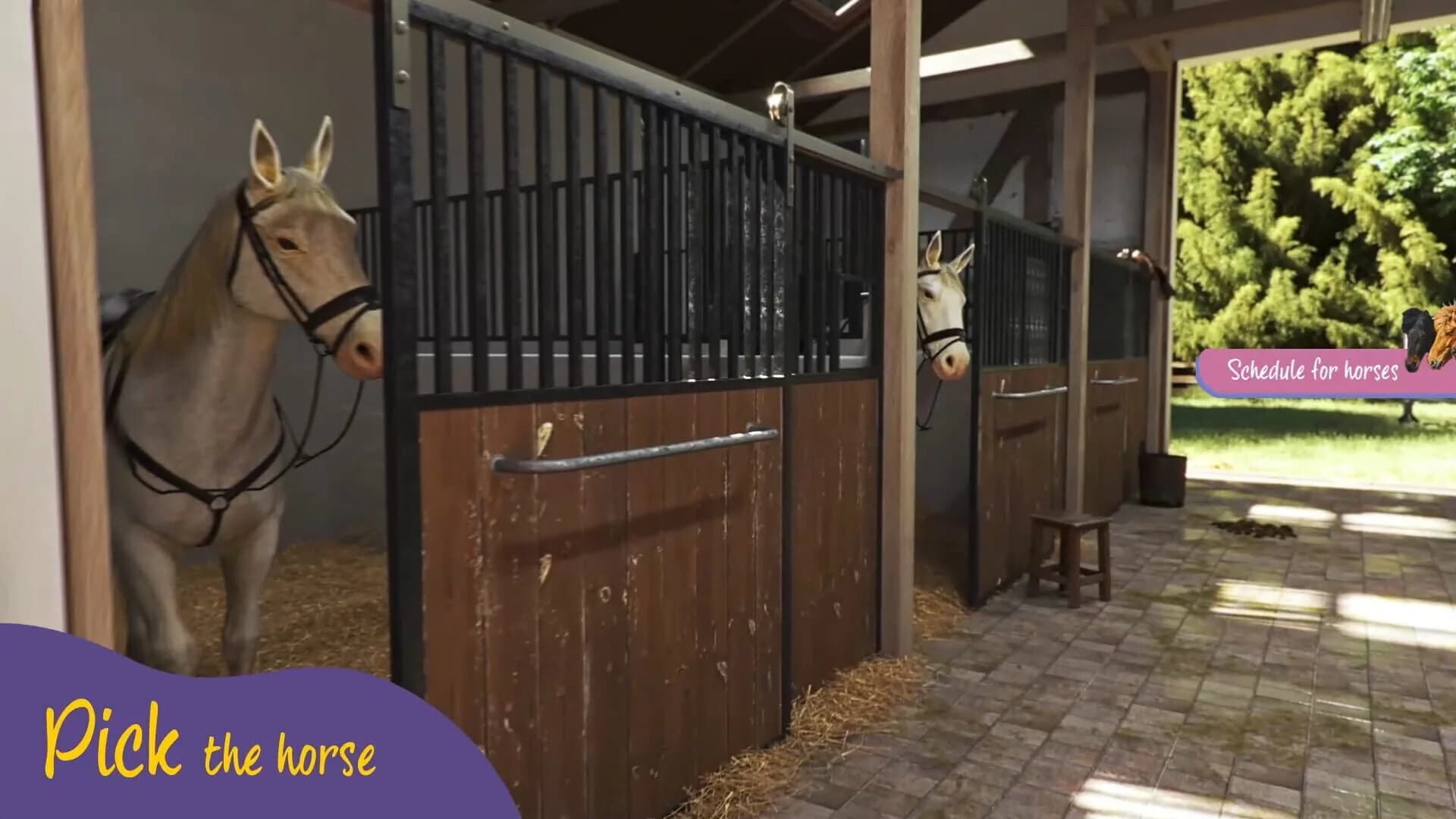 Animal Trainer Simulator screenshot 5