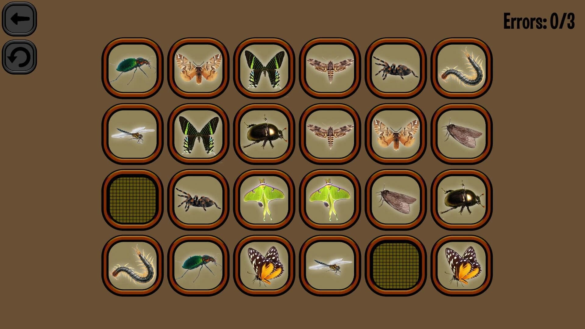 Animals Memory: Insect screenshot 3