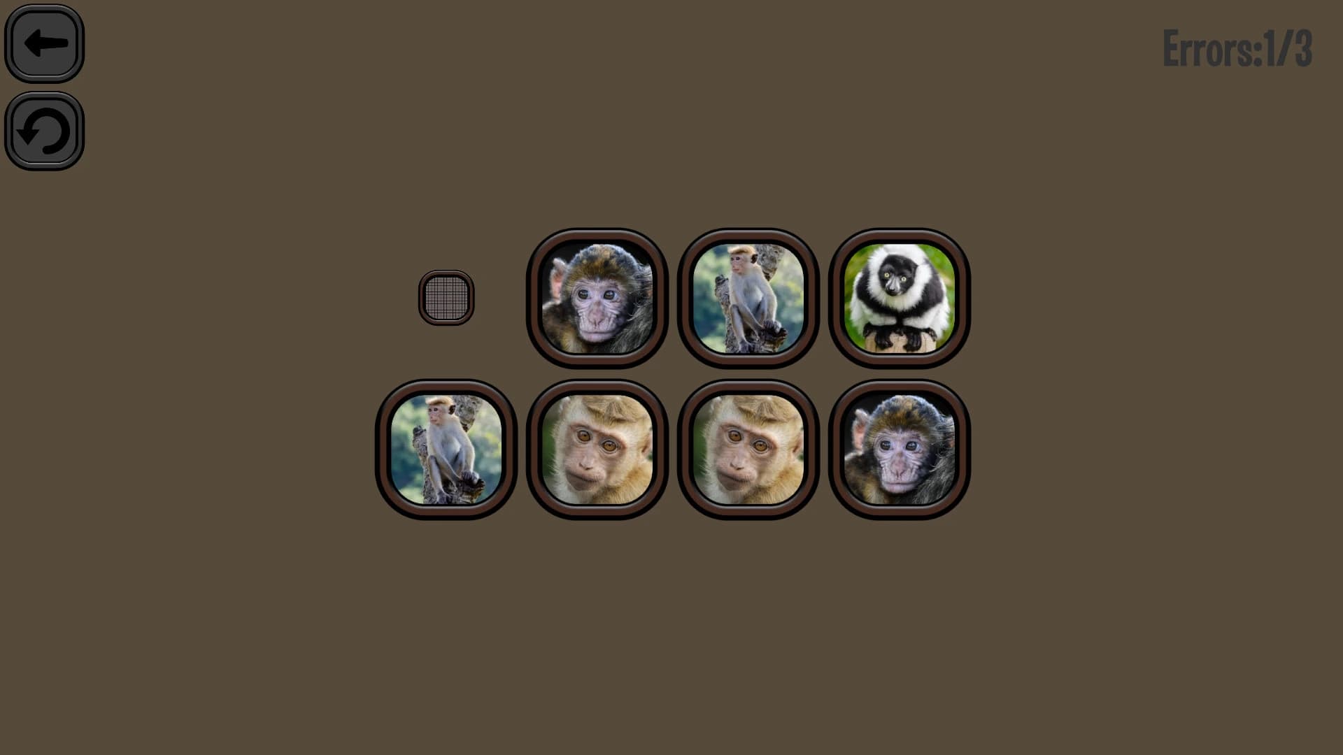 Animals Memory: Monkeys screenshot 6