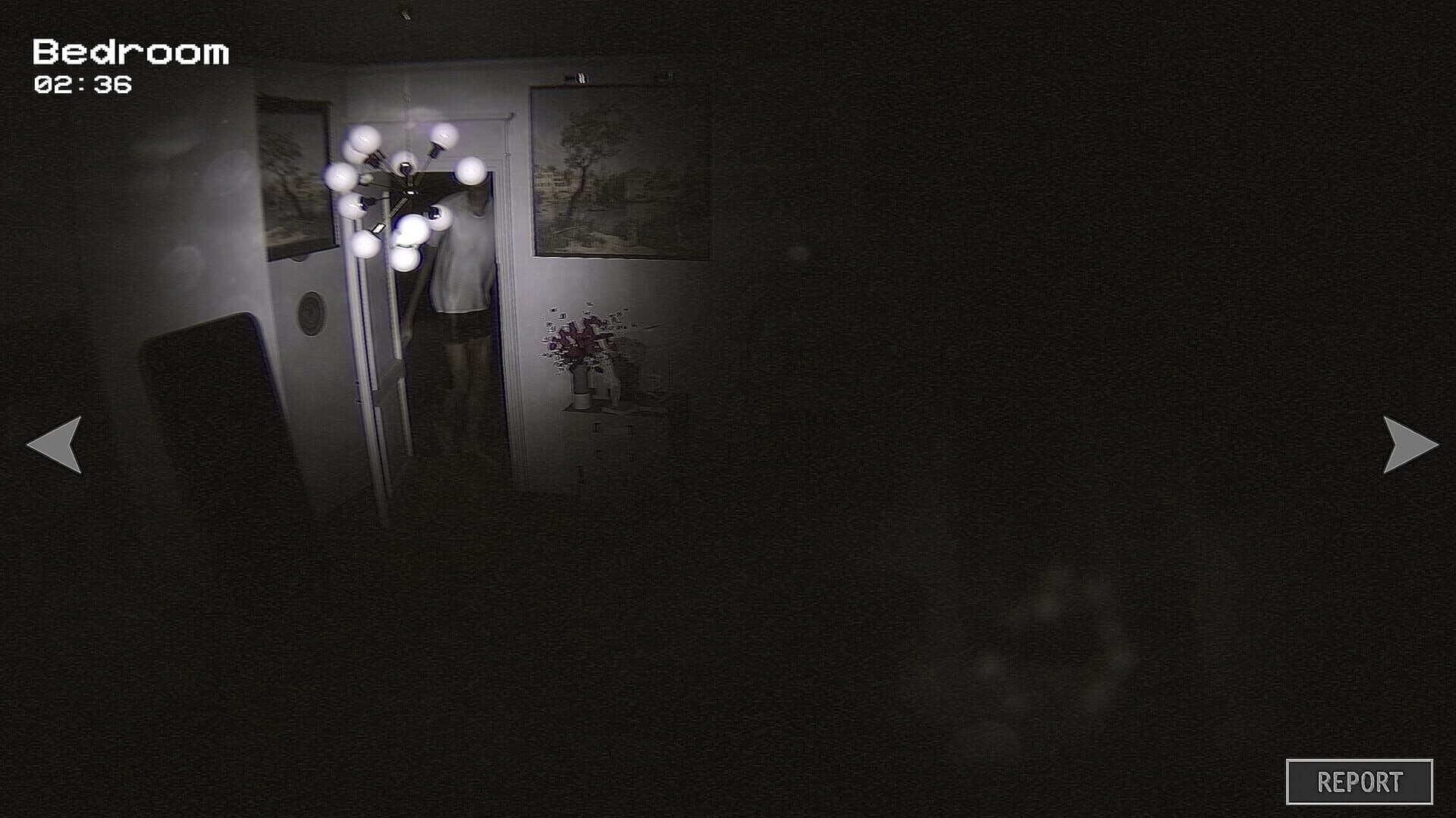 Anomaly Report screenshot 2