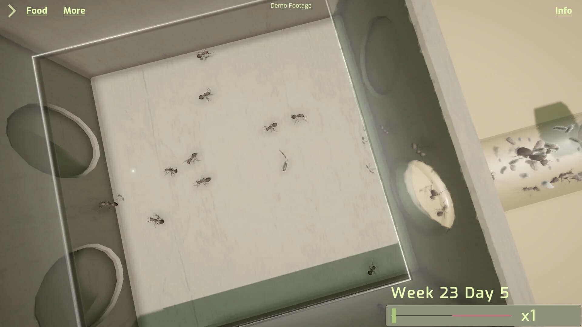 Ant Keeping Simulator screenshot 3
