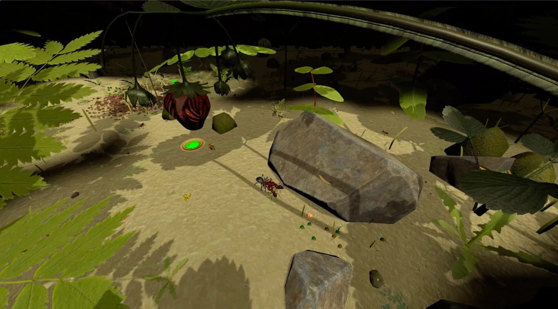 AntQueen 3D screenshot 3