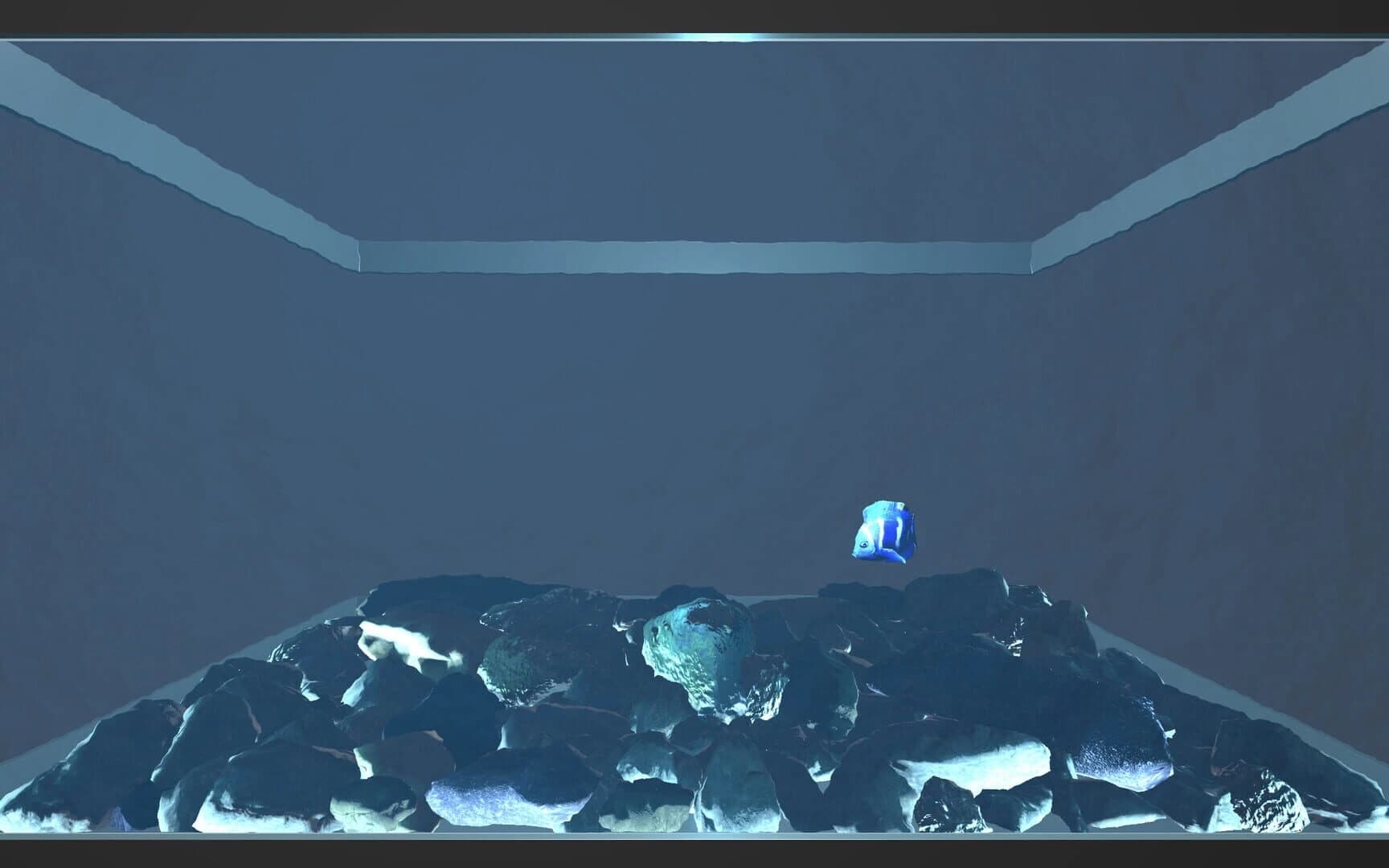 Aquario screenshot 4