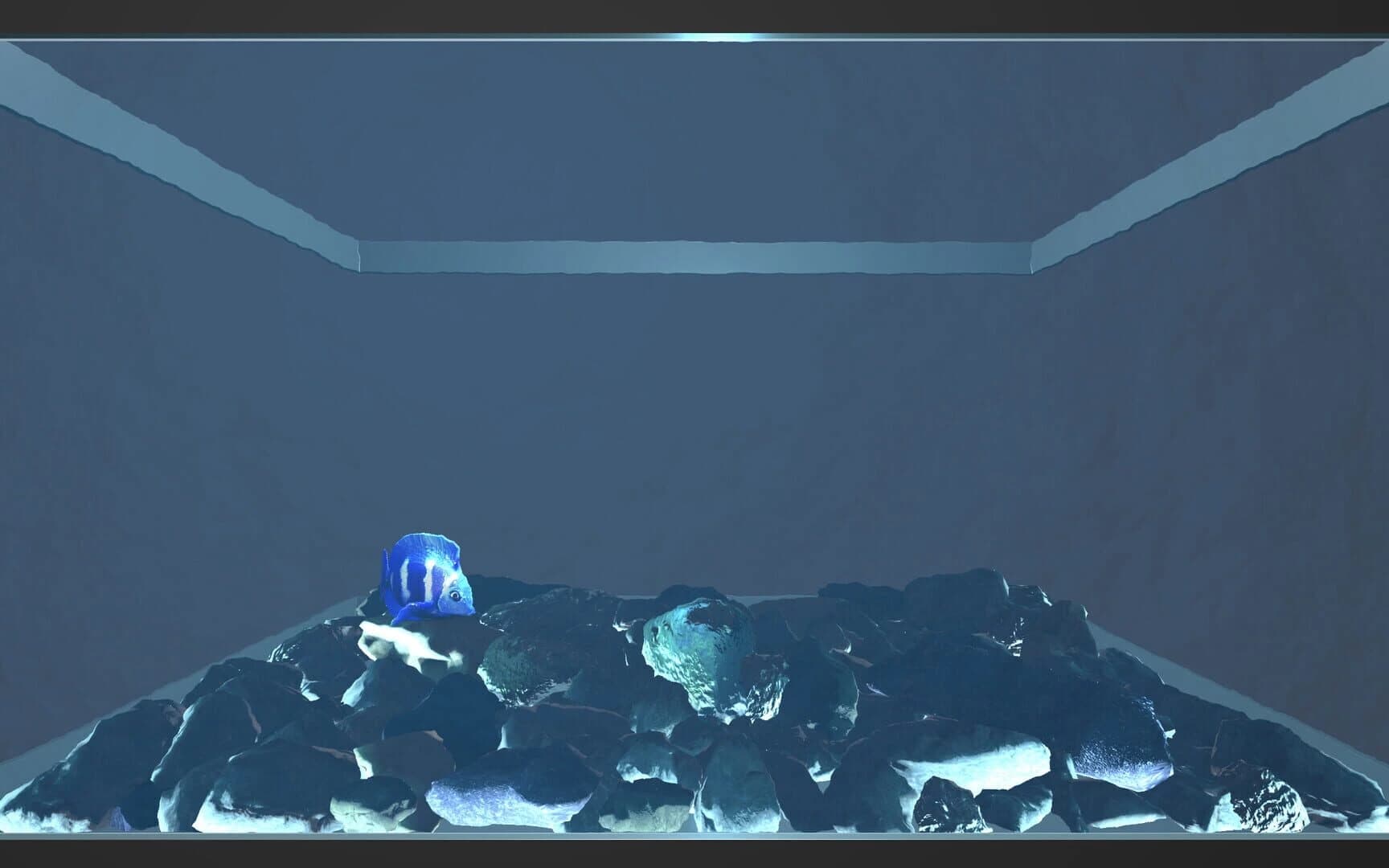 Aquario screenshot 1