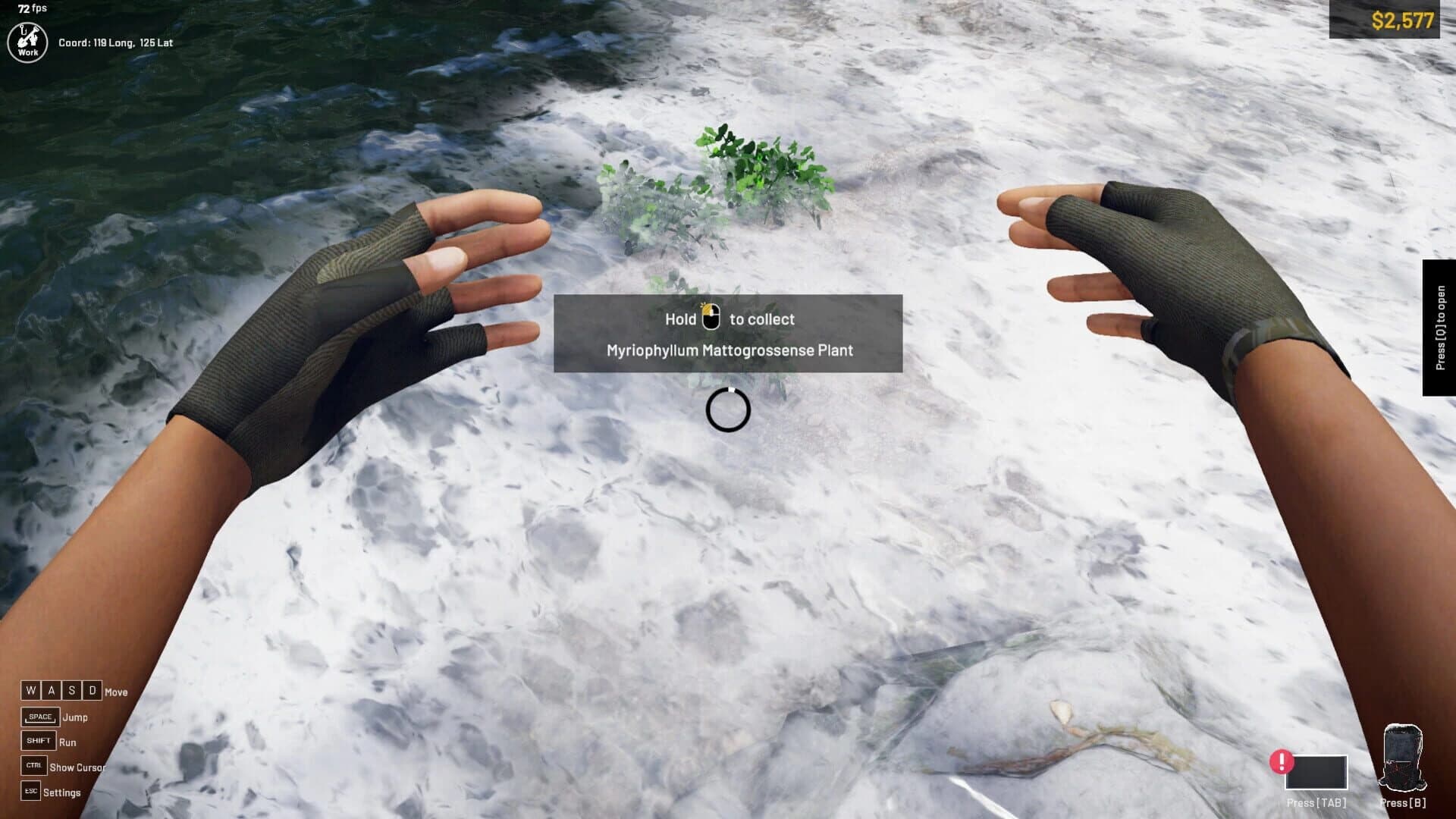 Aquascapers screenshot 5