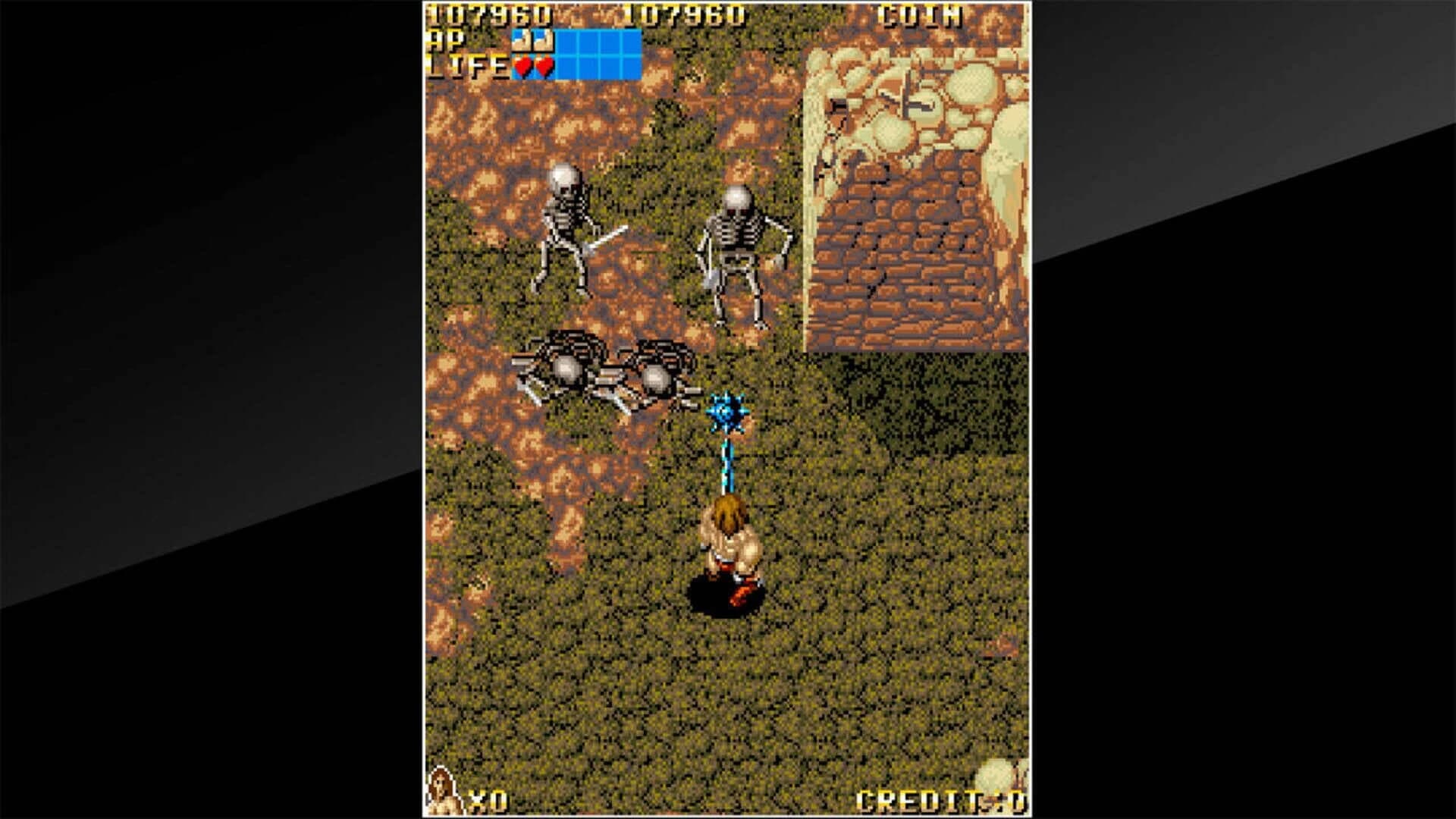 Arcade Archives: Vandyke screenshot 5