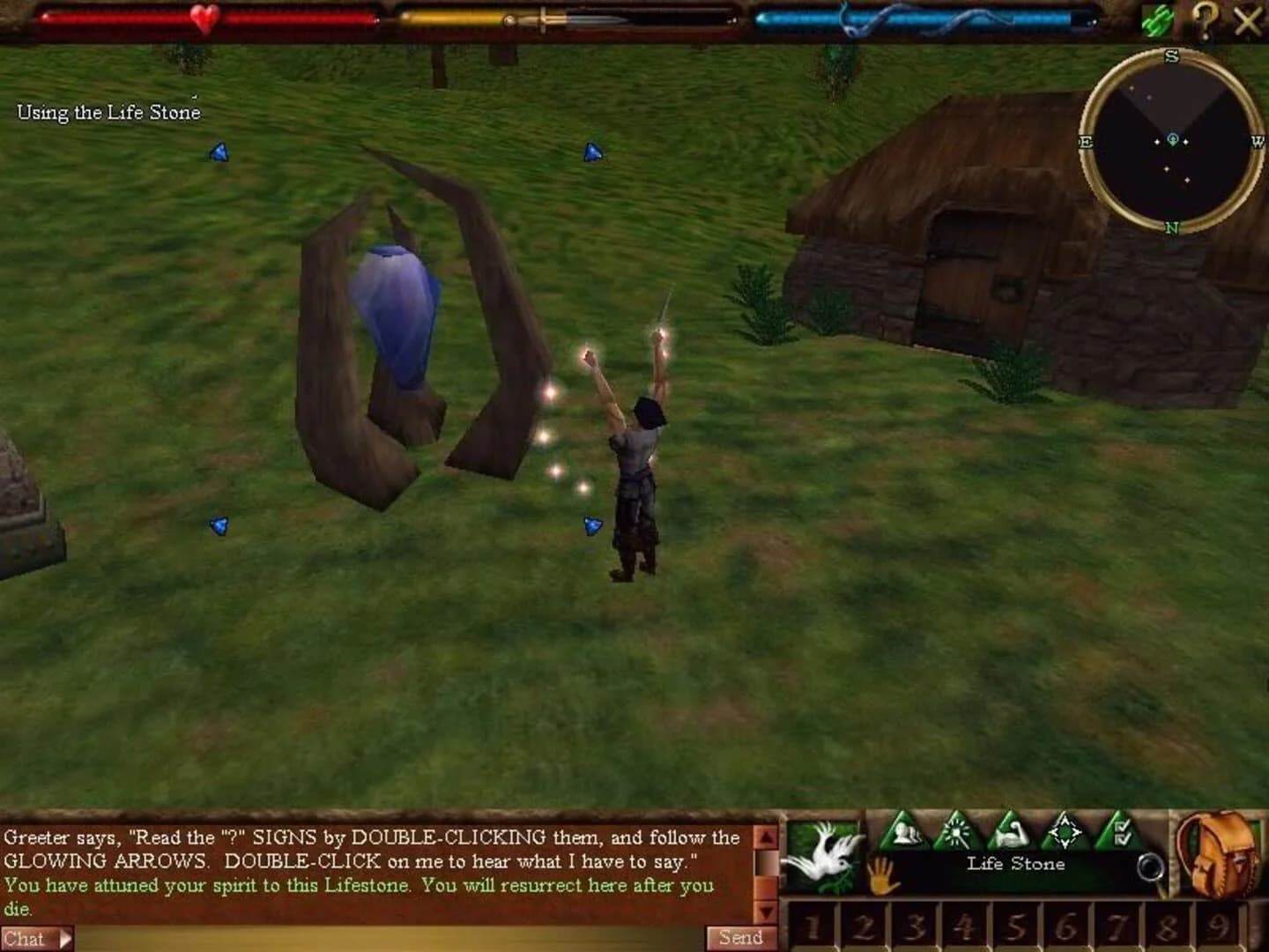 Asheron's Call screenshot 4