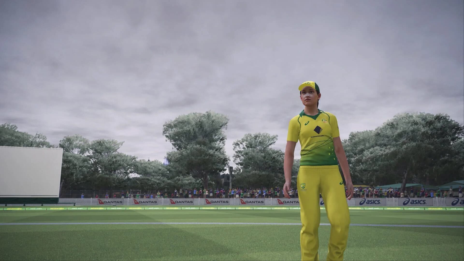 Ashes Cricket screenshot 3