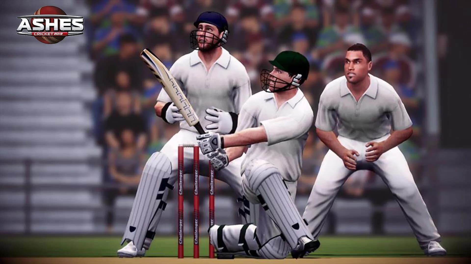 Ashes Cricket 2013 screenshot 3