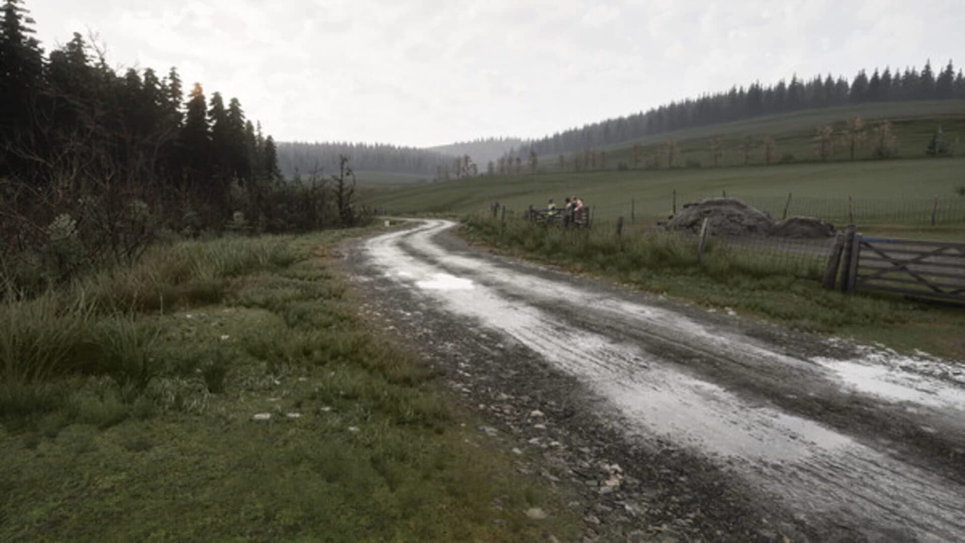 Assetto Corsa Rally screenshot 3