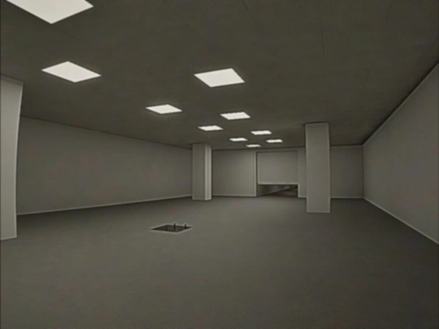 Backrooms: The Labyrinth screenshot 1