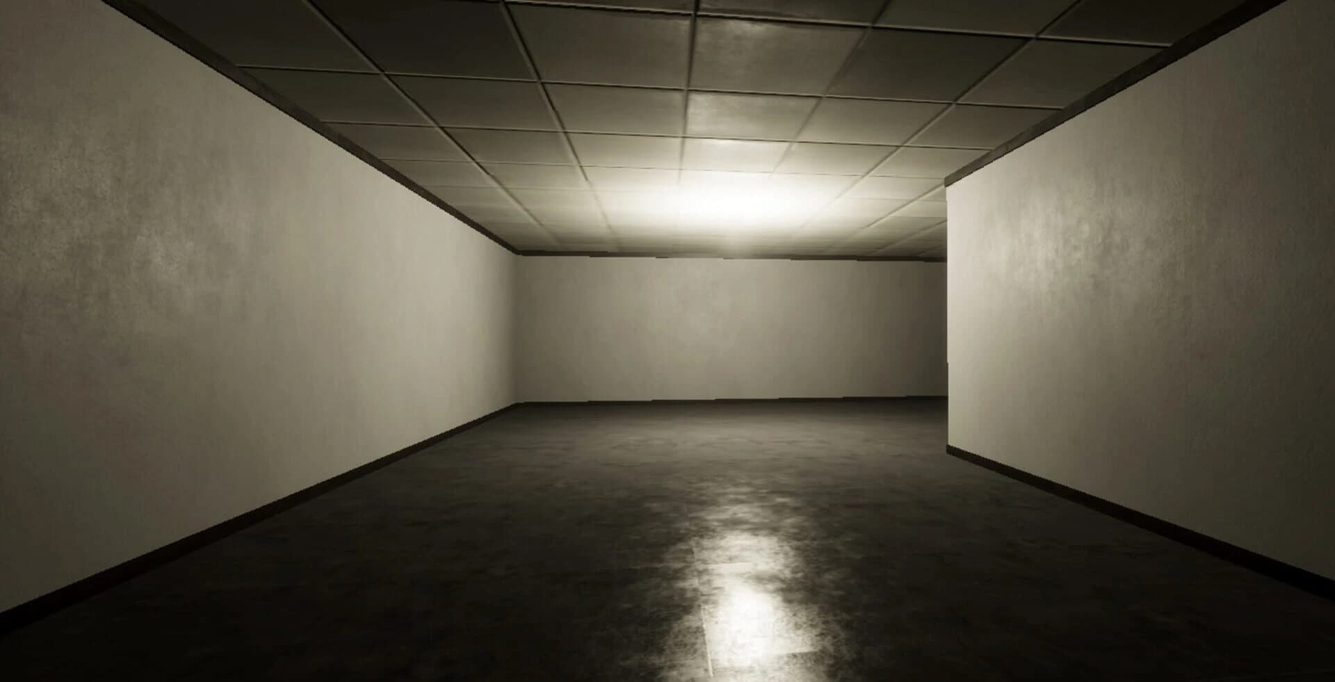 Backrooms: The Phobolore screenshot 3