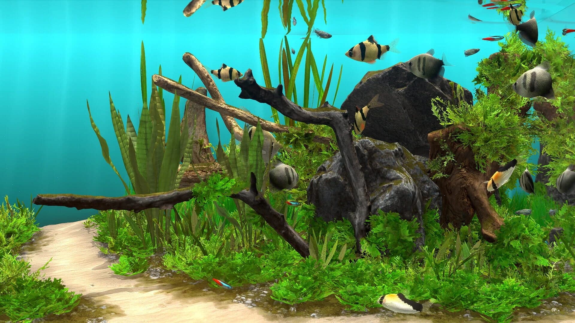 Behind Glass: Aquarium Simulator screenshot 3