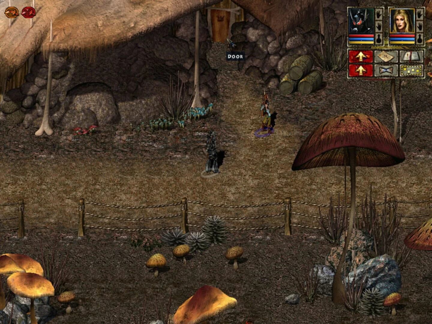 Beyond Divinity screenshot 3