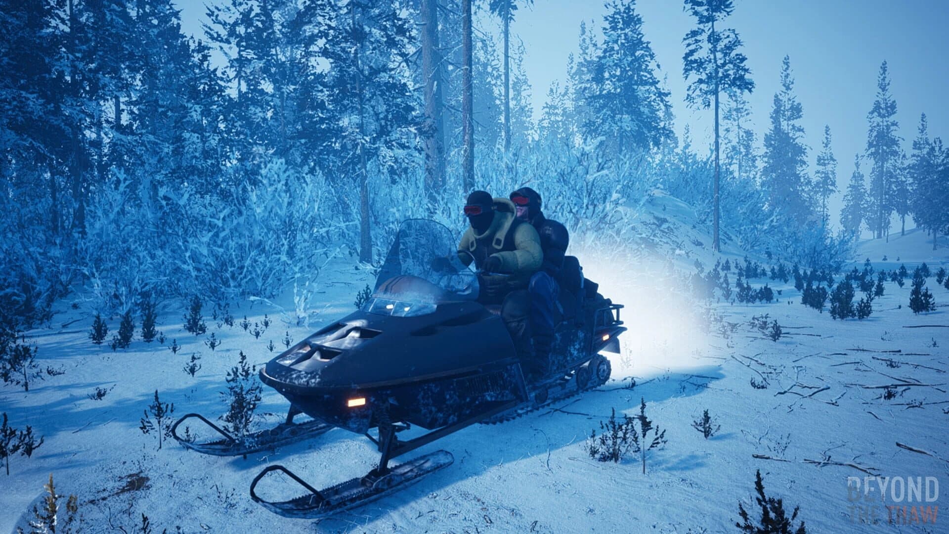 Beyond the Thaw screenshot 3