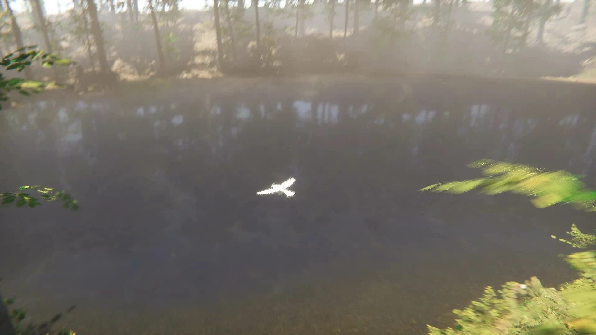 Bird screenshot 2