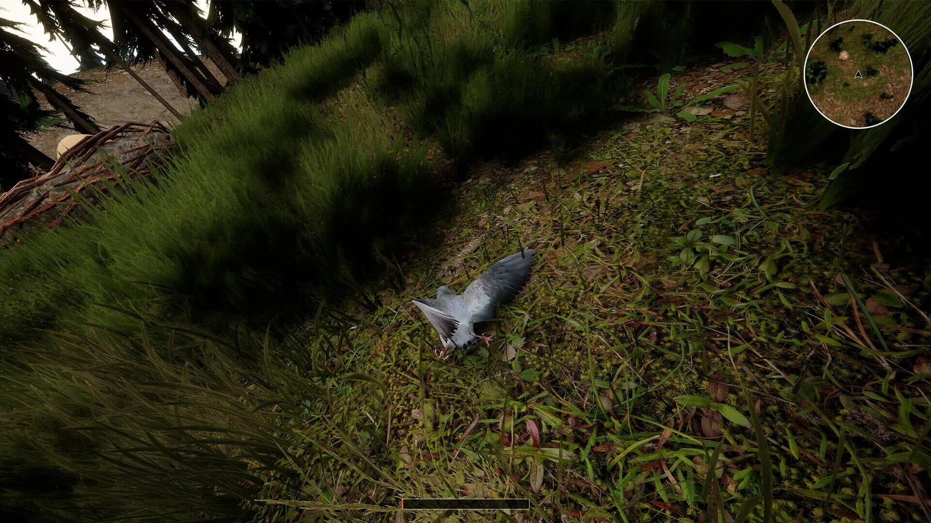 Bird Game 3 screenshot 5