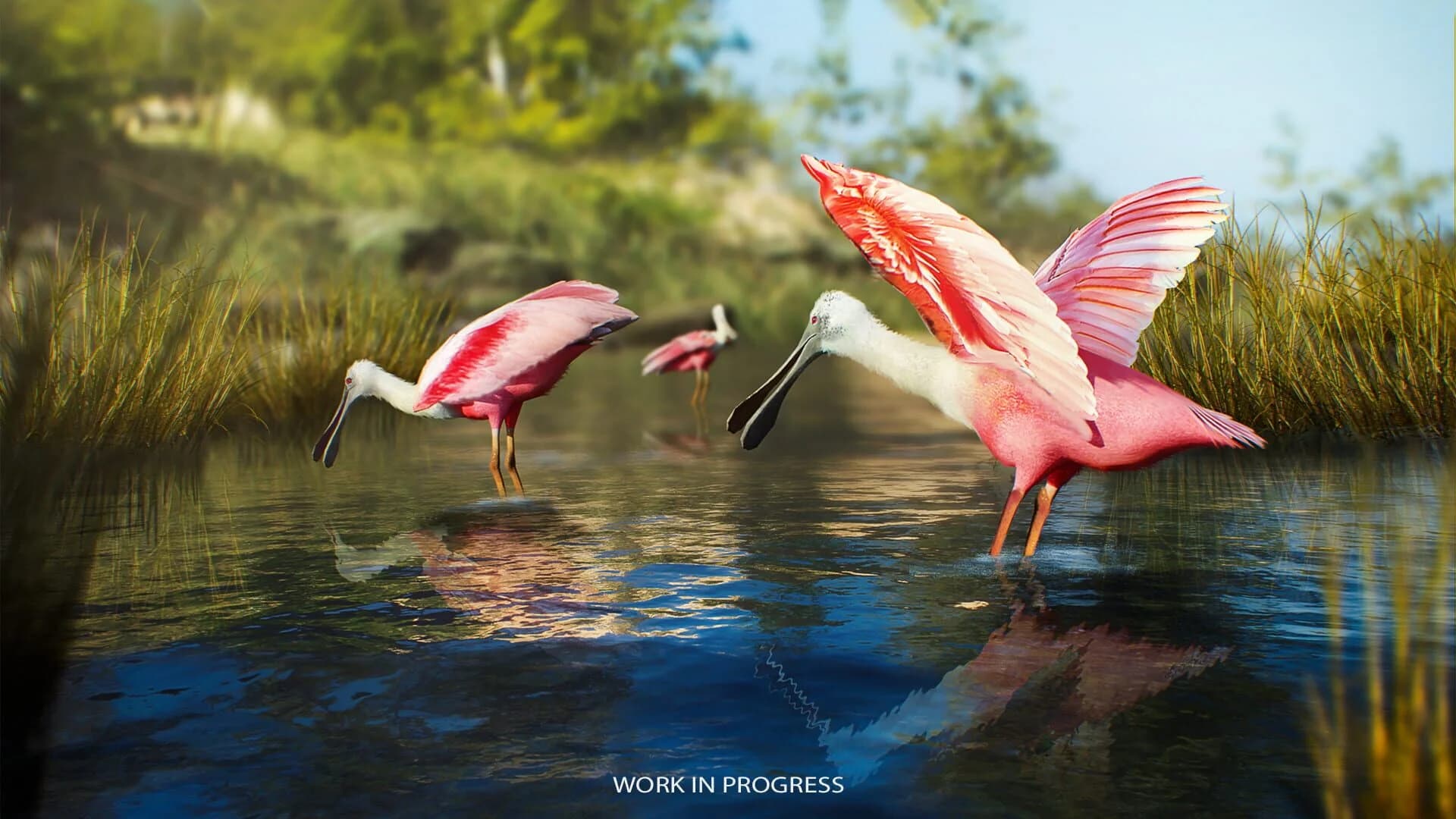 Birding Simulator screenshot 3