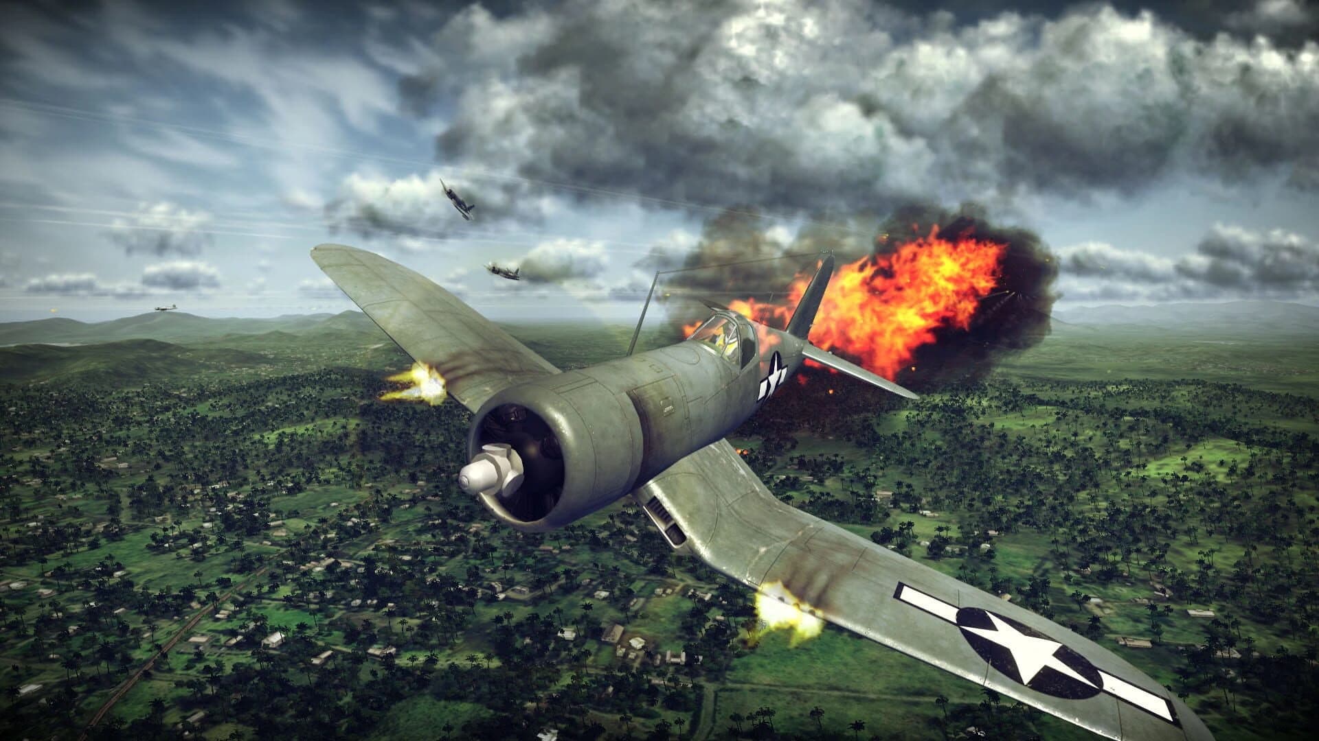 Birds of Steel screenshot 1