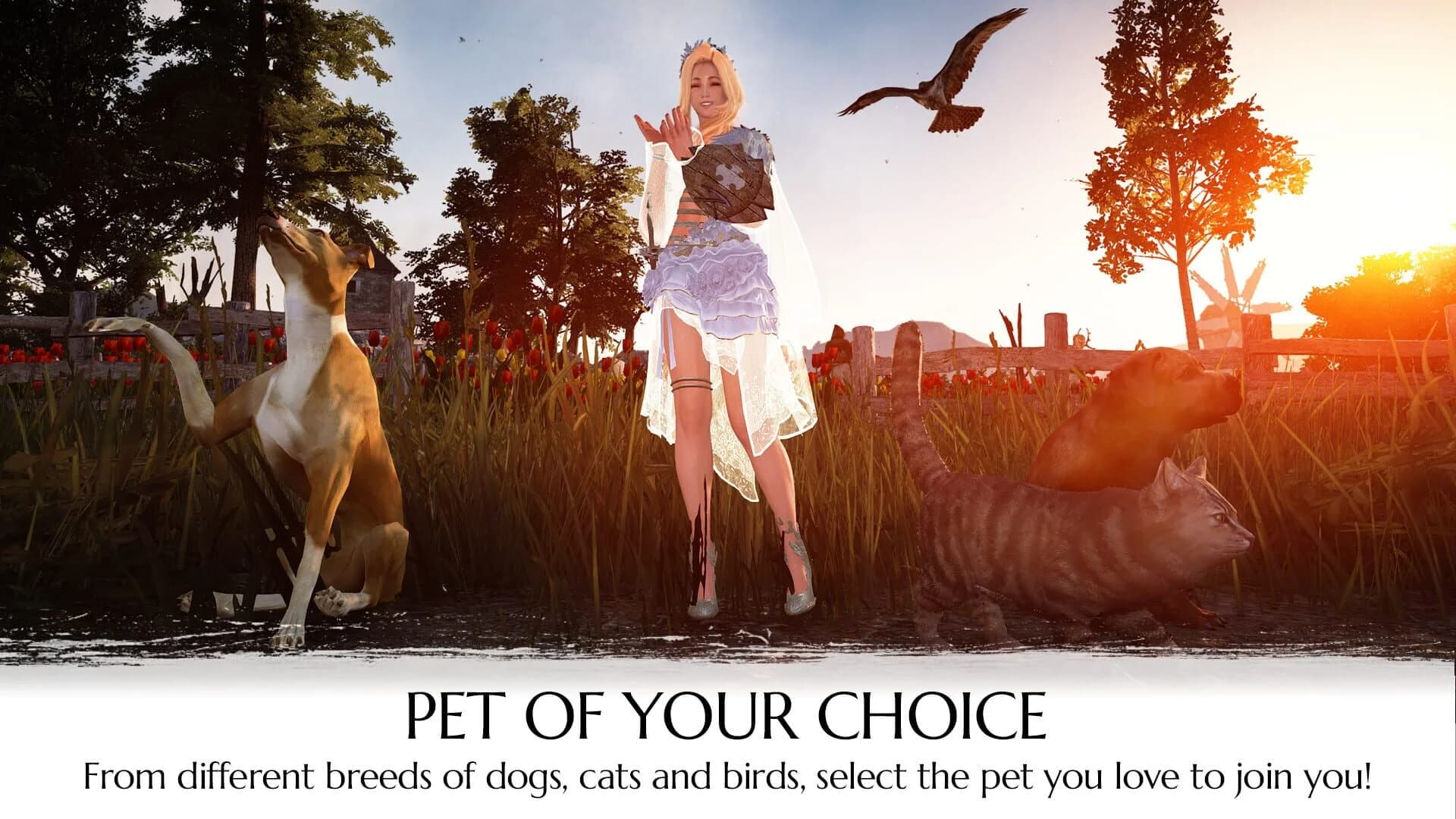 Black Desert Online: Explorer's Package screenshot 2