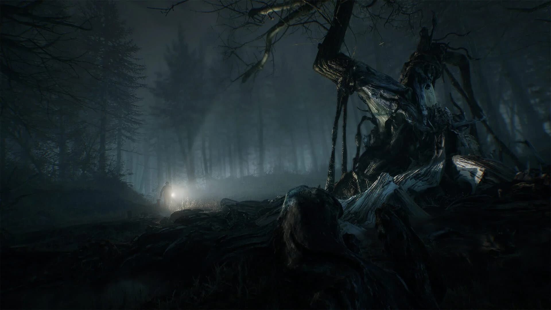 Blair Witch screenshot 5