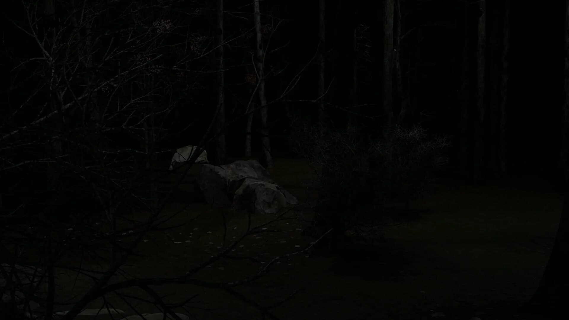 Blood Trail screenshot 4