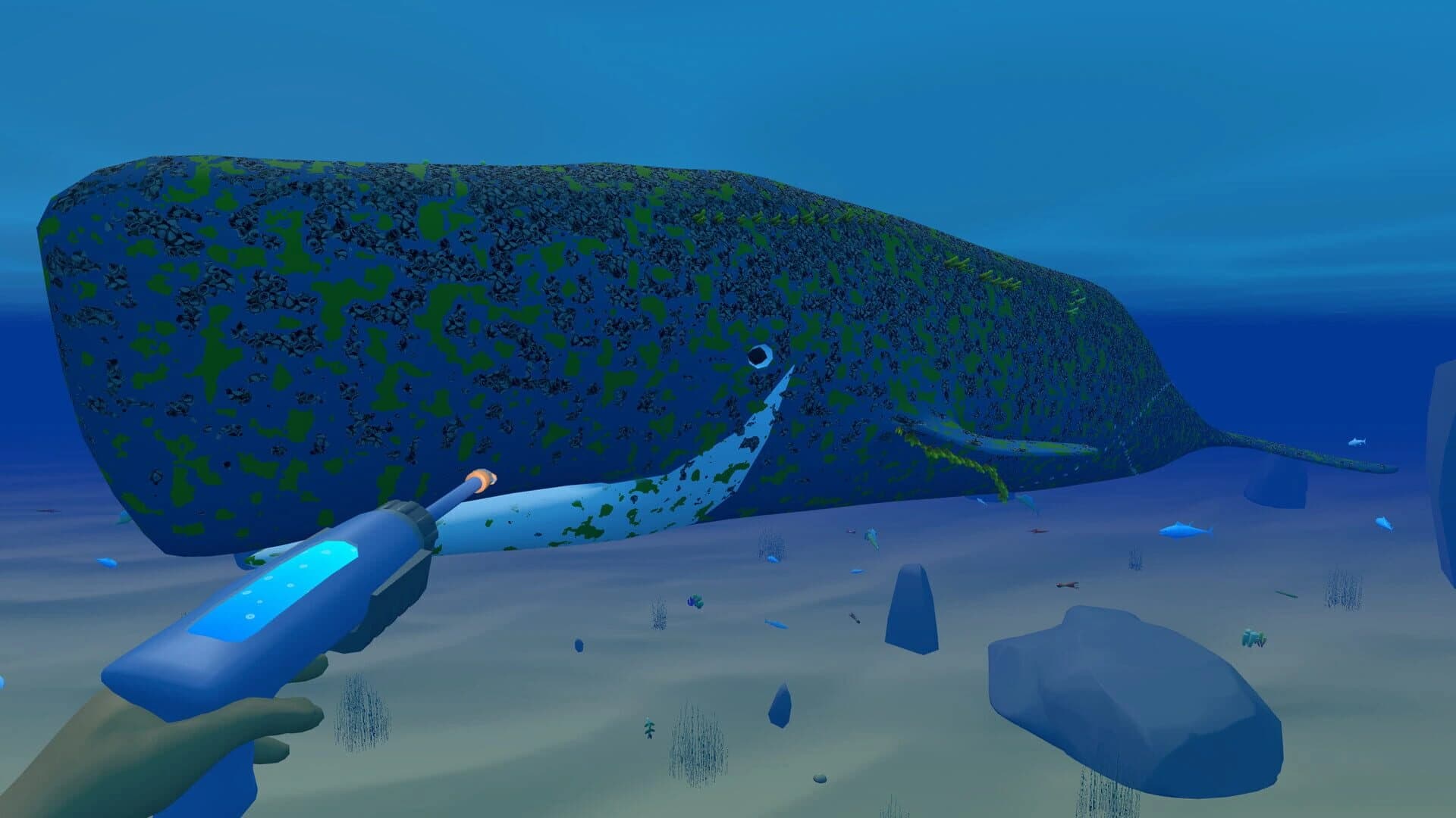 Bodian's Bay Wash screenshot 1