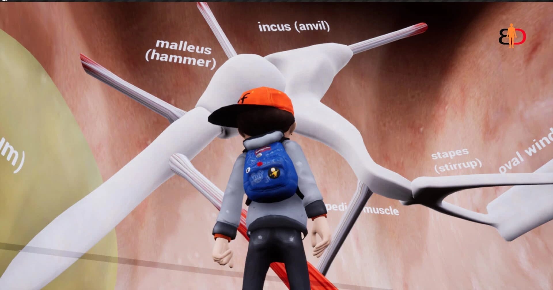 Body Discovery screenshot 1
