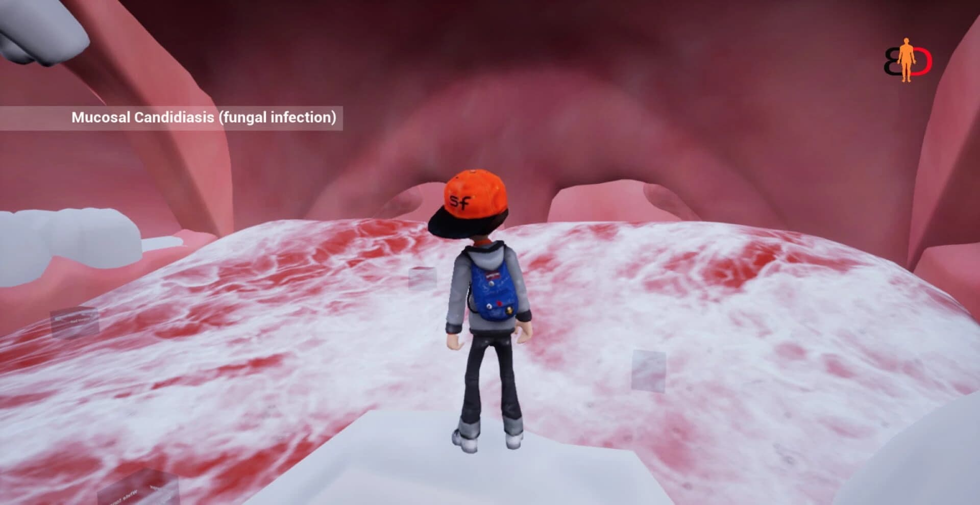Body Discovery screenshot 4