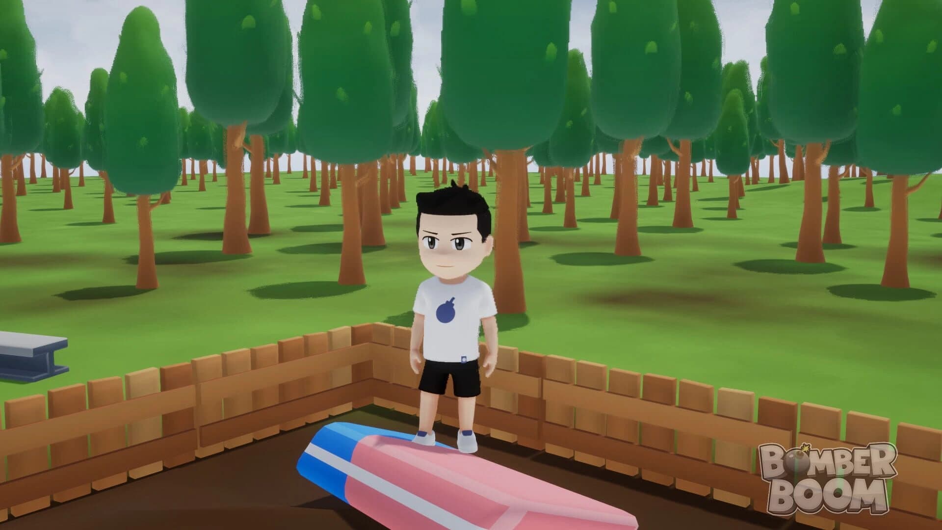 Bomber Boom screenshot 2