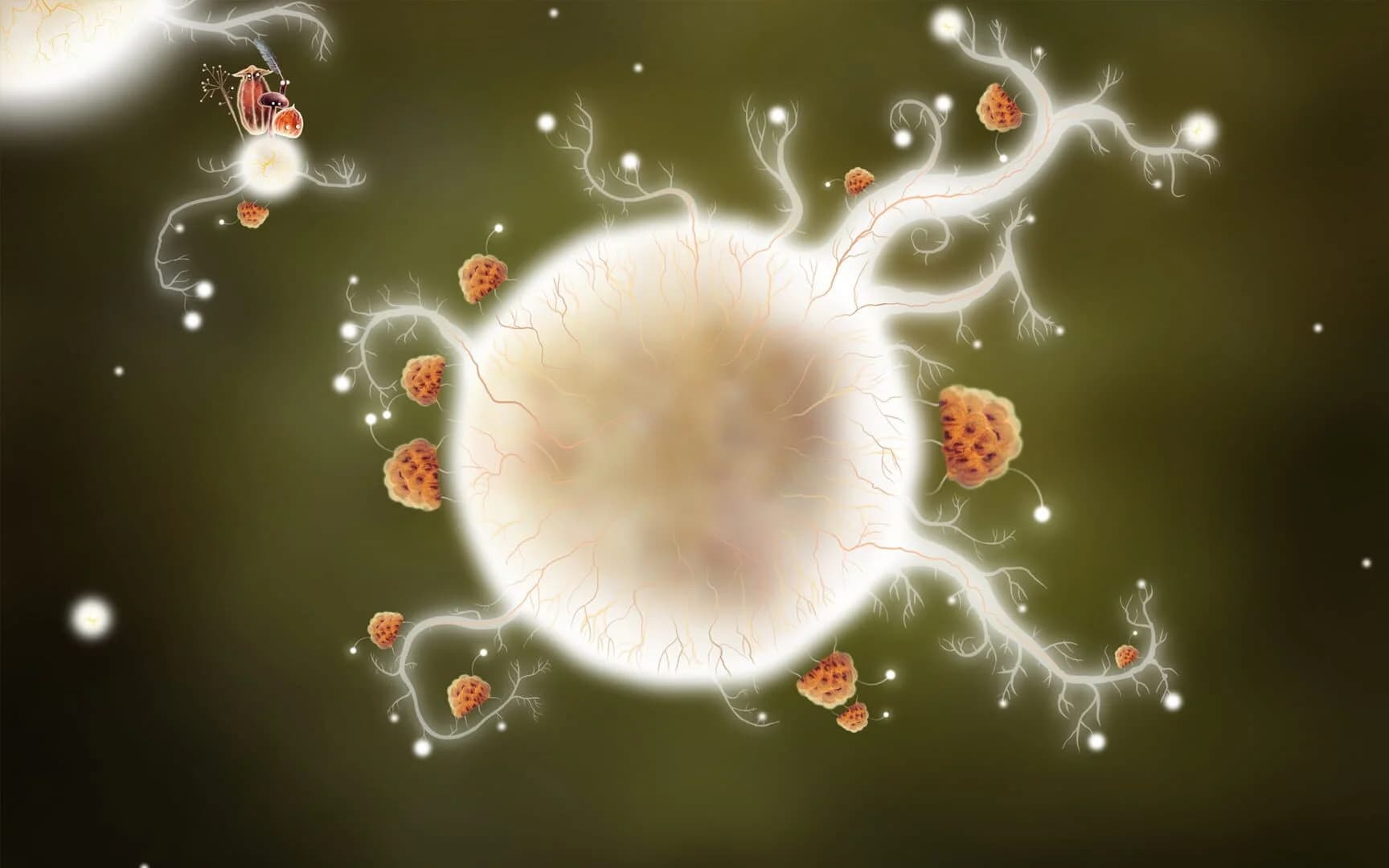 Botanicula screenshot 4