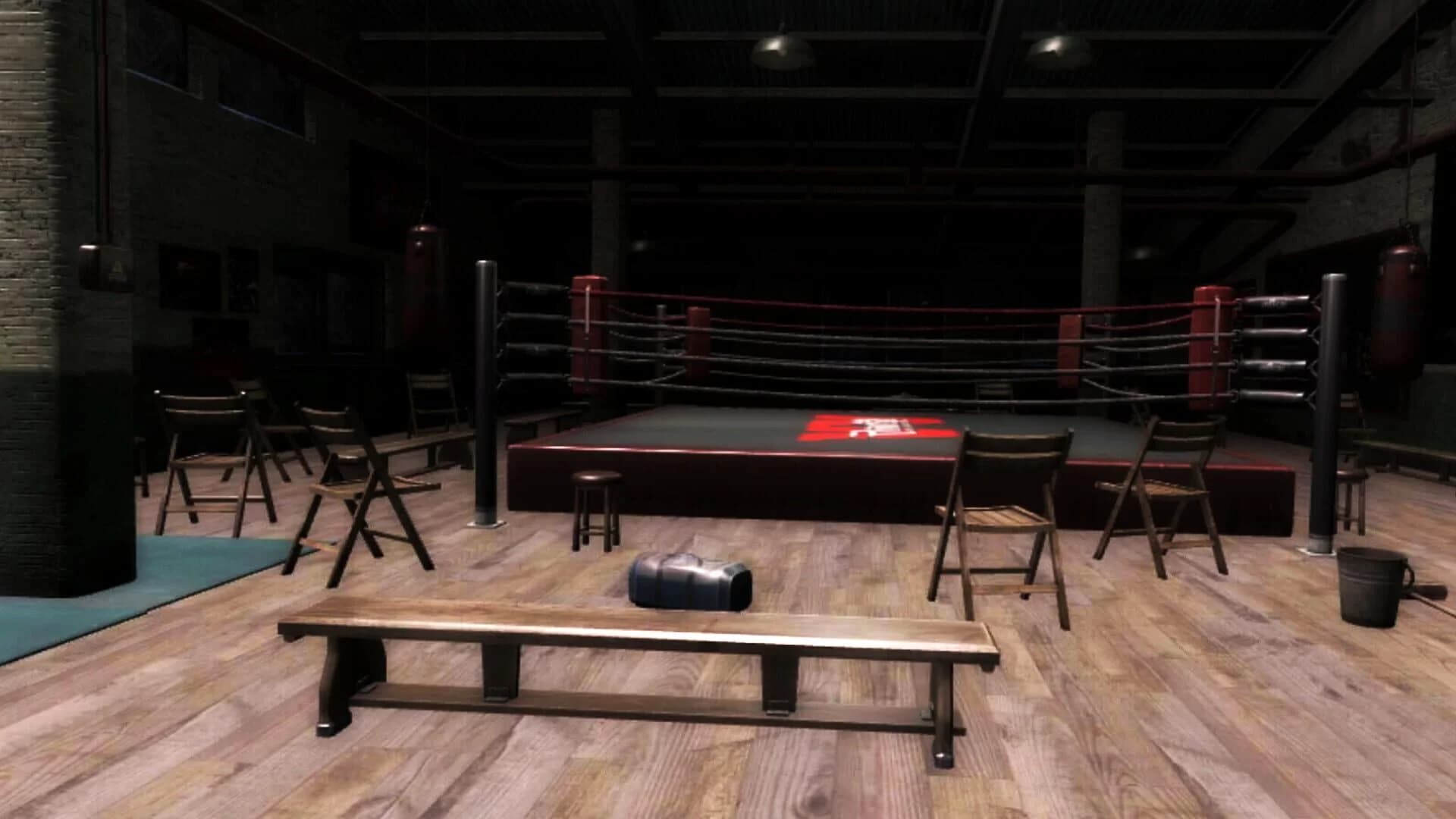 Boxing Saga screenshot 3