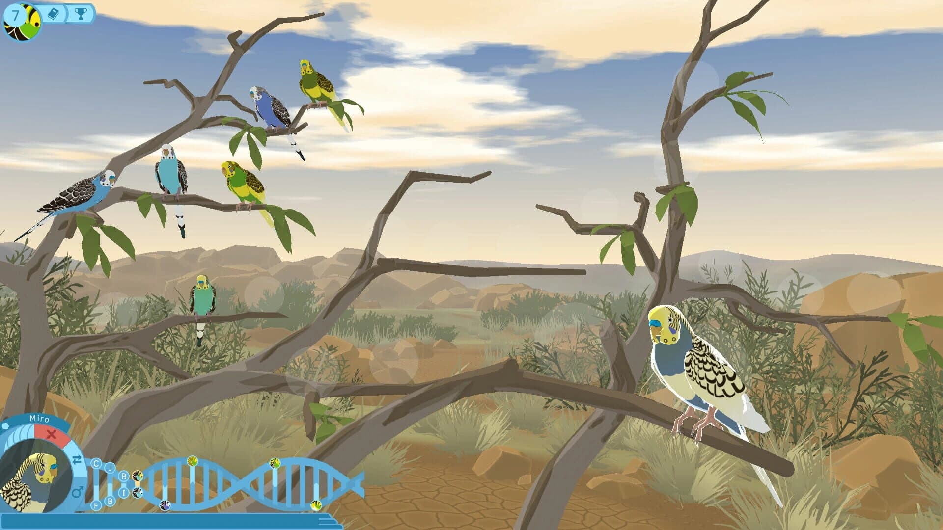Budgie Genetics Simulator screenshot 1