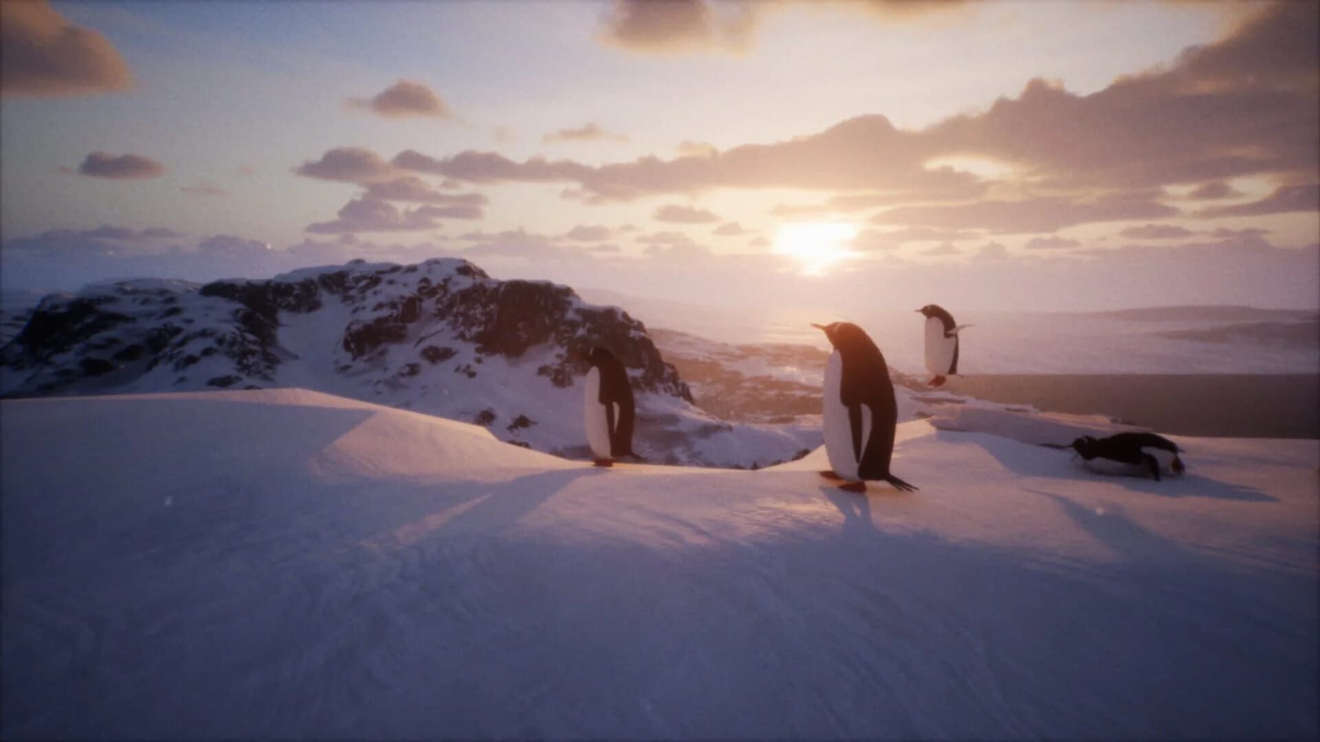 But Why? screenshot 5