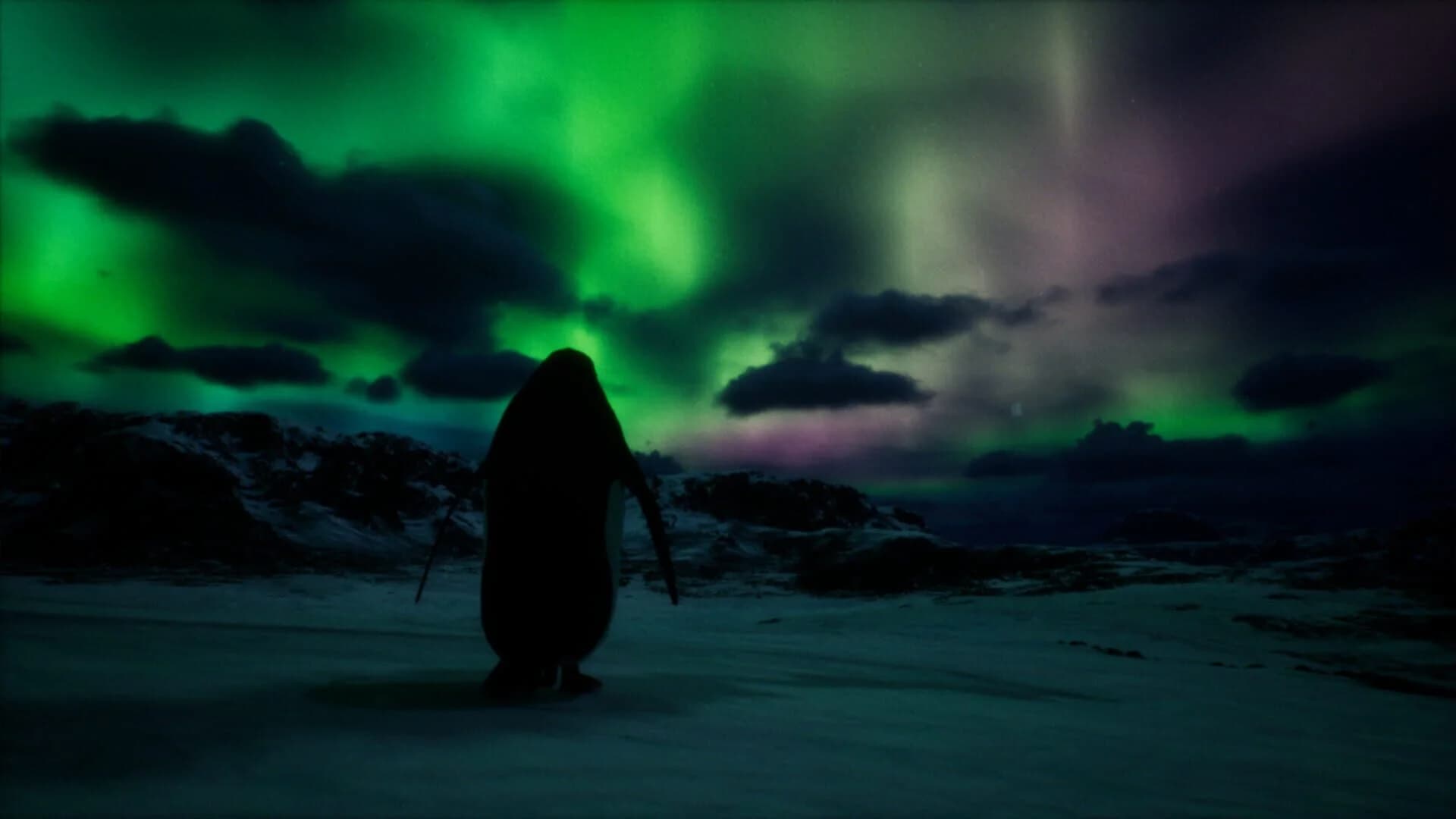 But Why? screenshot 4