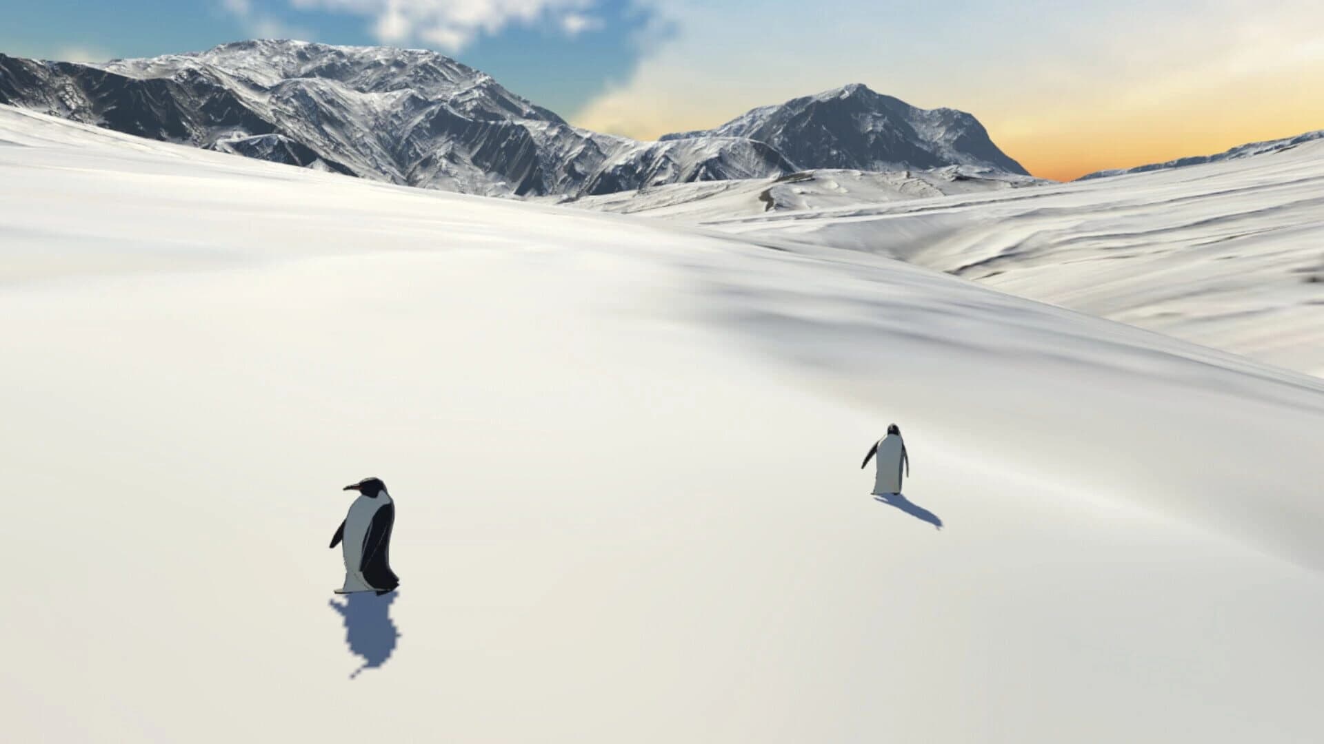 But Why Penguin? screenshot 2
