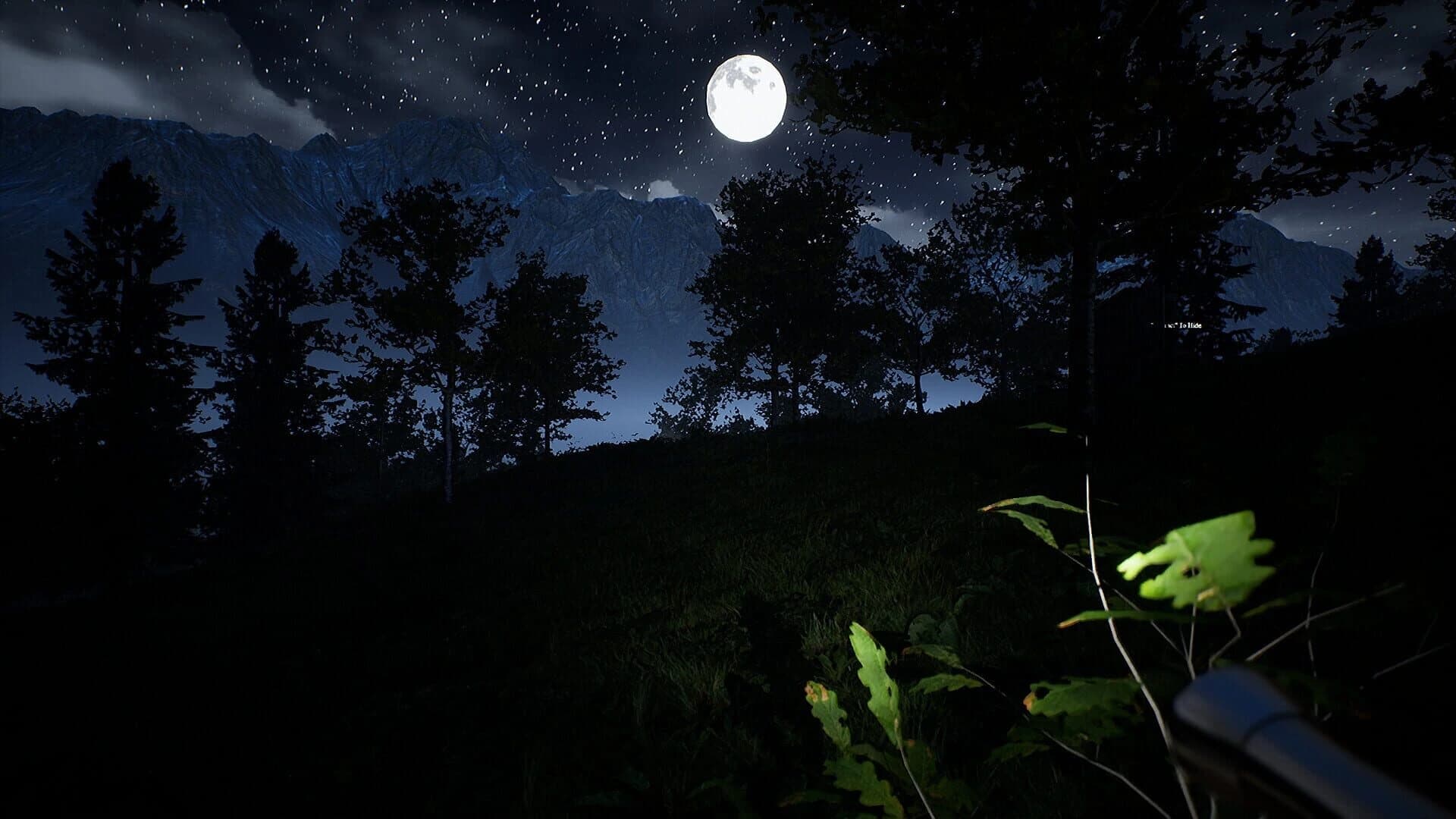 Campfire: Night One screenshot 1