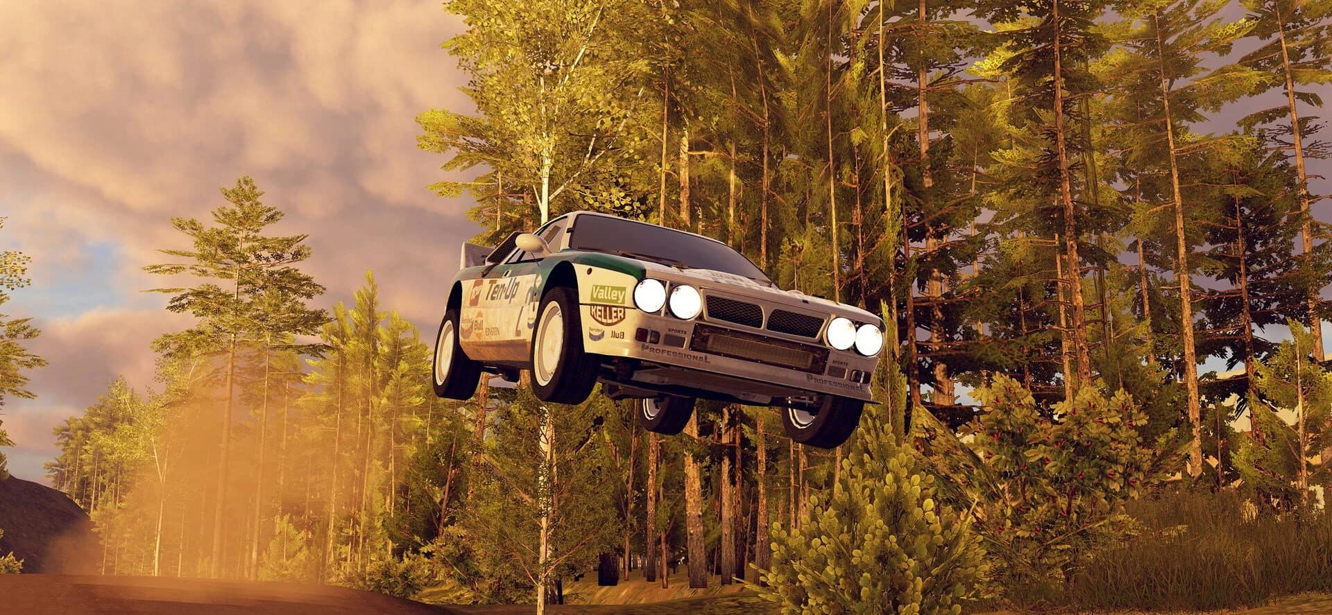 CarX Rally screenshot 2