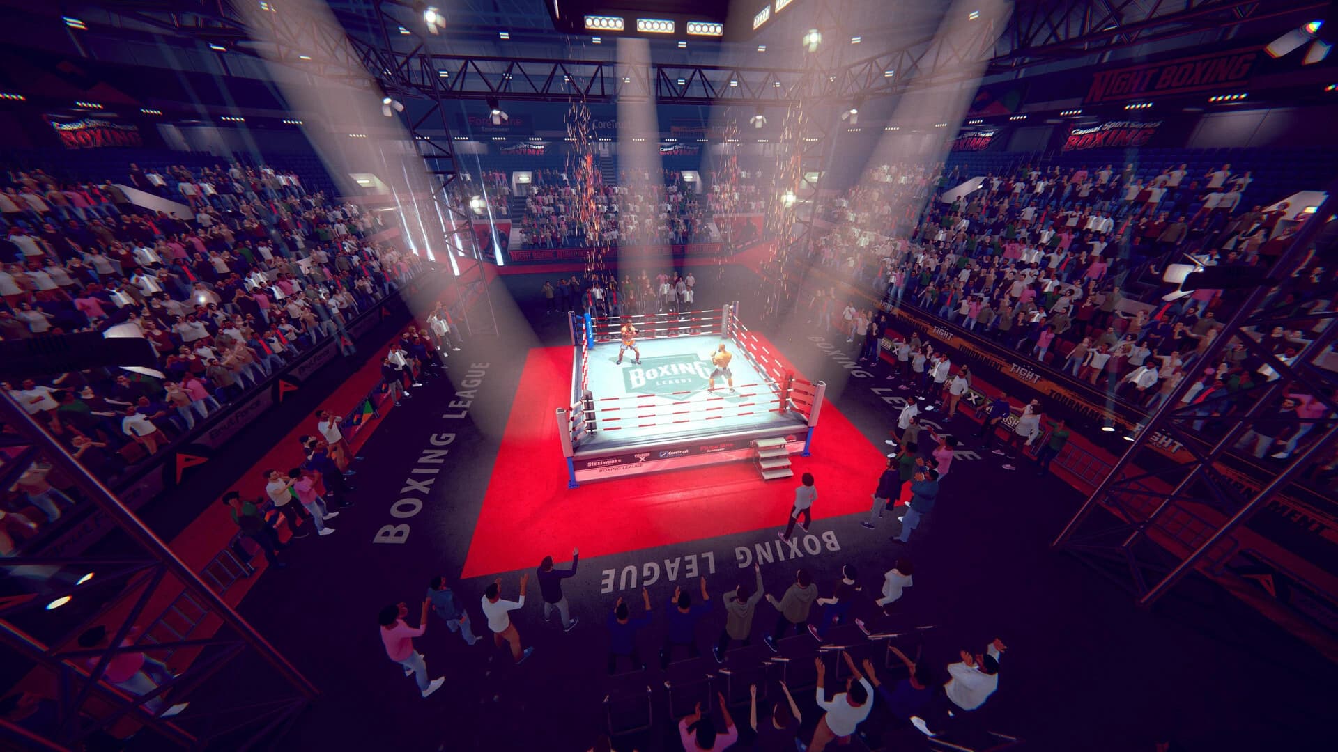 Casual Sport Series: Boxing screenshot 6