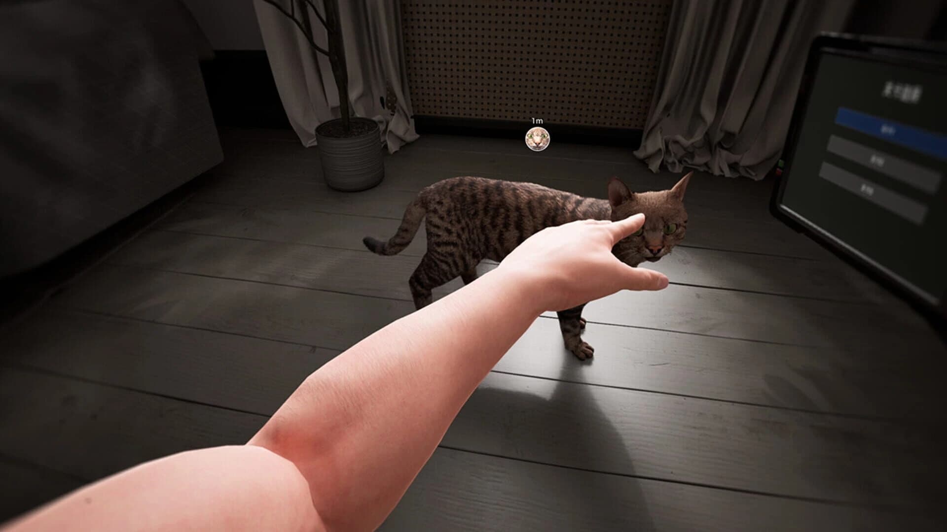 Cat Drift screenshot 3