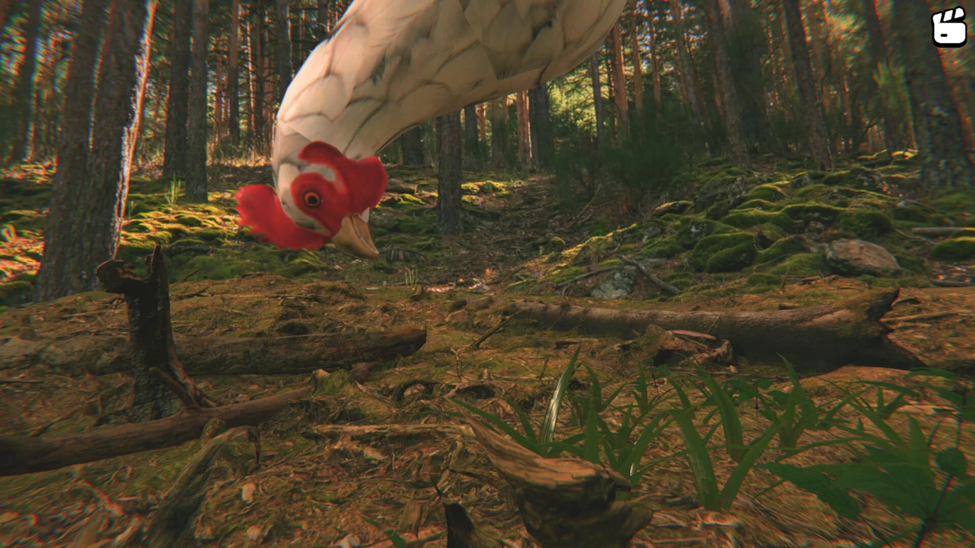 Catch the Chiken screenshot 7