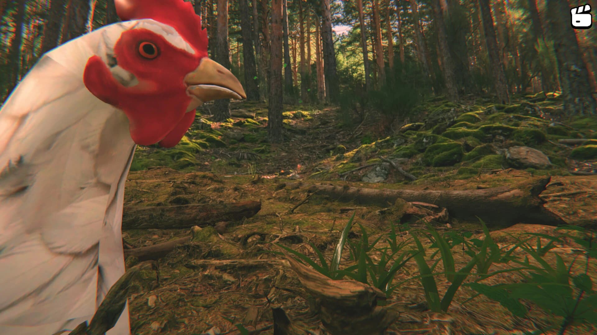 Catch the Chiken screenshot 5