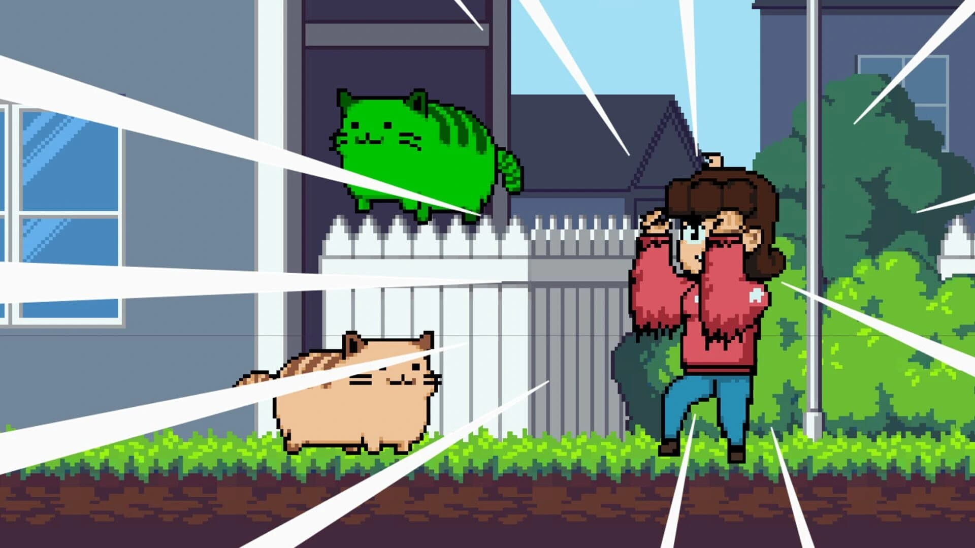 CatNab screenshot 3