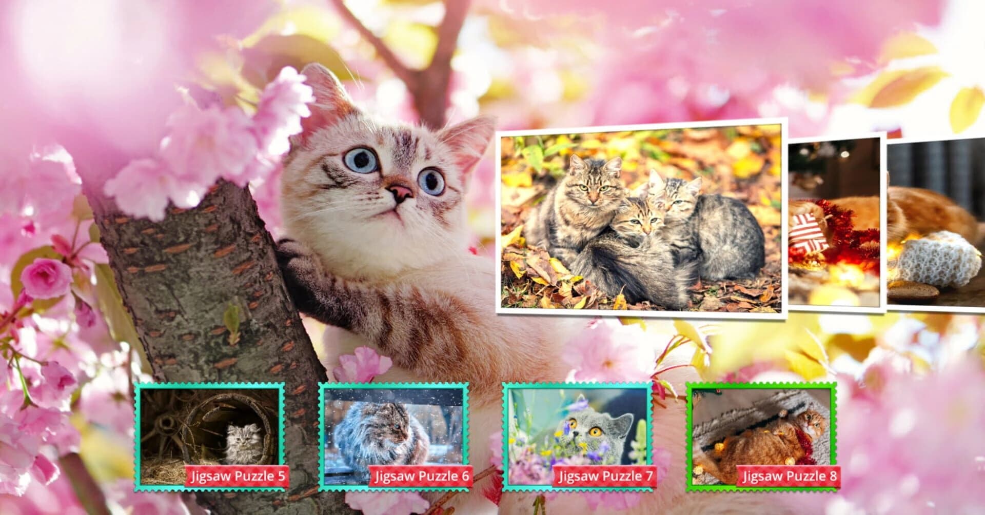 Cat's Life Jigsaw Puzzles screenshot 3