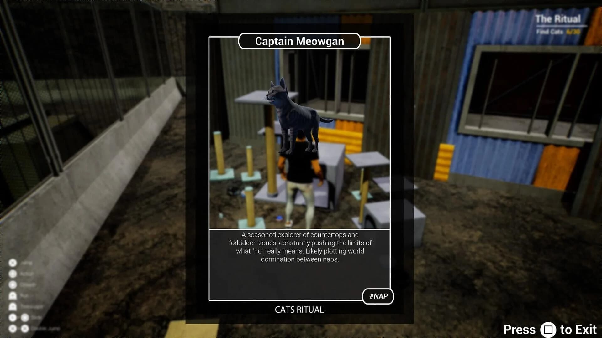 Cats Ritual screenshot 4