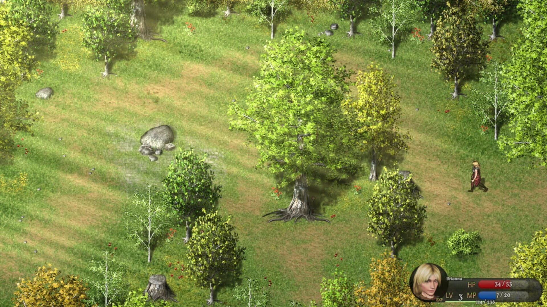 Cavern of Time screenshot 5